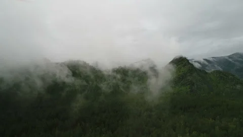 Aerial View. Flight over the Mountain Valley. Morning fog [Altai. Siberia] Stock Footage 91565393