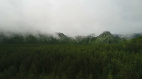 Aerial View. Flight over the Mountain Valley. Morning fog [Altai. Siberia] 動画素材 91565400