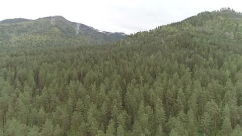 Aerial View. Flight over the Mountain Valley. Morning fog [Altai. Siberia] Stock Footage 91565624