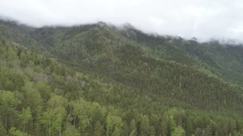 Aerial View. Flight over the Mountain Valley. Morning fog [Altai. Siberia] Stock Footage 91565649