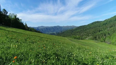 Aerial View. Flight over the Mountain Valley. Sunny summer time [Altai. Siberia] Stock Footage 91673372