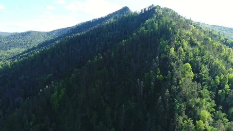 Aerial View. Flight over the Mountain Valley. Sunny summer time [Altai. Siberia] Stock Footage 91674543