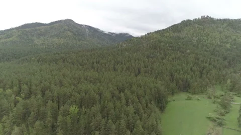 Aerial View. Flight over the Mountain Valley. Morning fog [Altai. Siberia] Stock Footage 91680127
