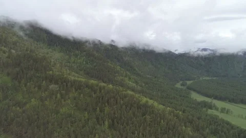 Aerial View. Flight over the Mountain Valley. Morning fog [Altai. Siberia] Stock Footage 91680179