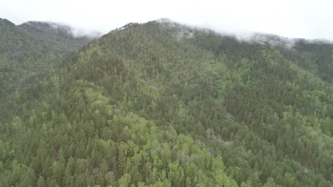 Aerial View. Flight over the Mountain Valley. Morning fog [Altai. Siberia] Stock Footage 91680247