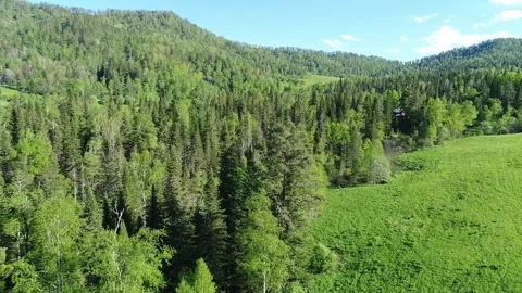 Aerial View. Flight over the Mountain Valley. Sunny summer time [Altai. Siberia] Stock Footage 91685053