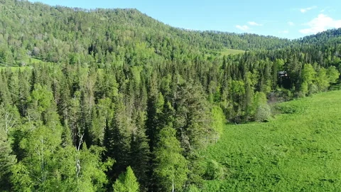 Aerial View. Flight over the Mountain Valley. Sunny summer time [Altai. Siberia] Stock Footage 91685161