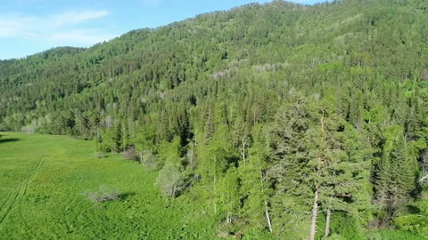 Aerial View. Flight over the Mountain Valley. Sunny summer time [Altai. Siberia] Stock Footage 91686466