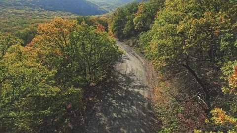Aerial view. Flight over the old scenic road in the mountains covered with color Stock Footage 150595649