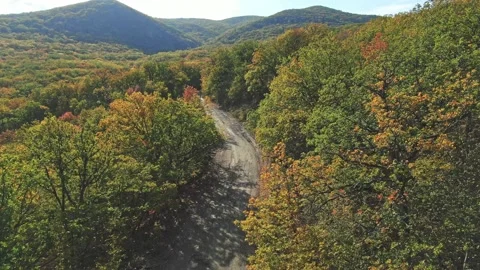 Aerial view. Flight over the old broken road in the mountains covered with fores Stock Footage 150595718