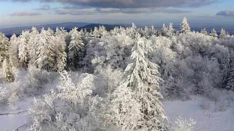 Aerial view, flight over snowy trees from above in winter, Taunus, Hesse, Ger Stock Footage 101479507