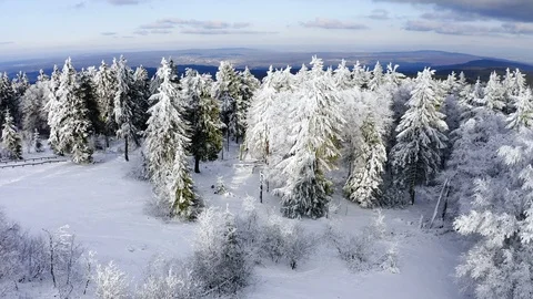 Aerial view, flight over snowy trees from above in winter, Taunus, Hesse, Ger Stock Footage 101479540