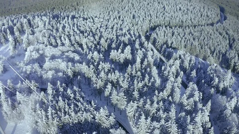 Aerial view, flight over snowy trees from above in winter, Taunus, Hesse, Ger Stock Footage 101480097