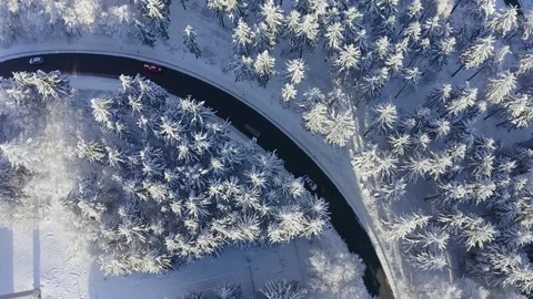 Aerial view, flight over snowy trees from above in winter, Taunus, Hesse, Ger Stock Footage 101480146