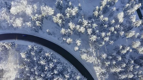 Aerial view, flight over snowy trees from above in winter, Taunus, Hesse, Ger Stock Footage 101480221