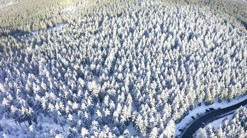 Aerial view, flight over snowy trees from above in winter, Taunus, Hesse, Ger Stock Footage 101480254