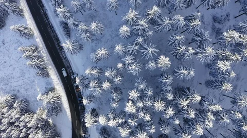 Aerial view, flight over snowy trees from above in winter, Taunus, Hesse, Ger Stock Footage 101480385