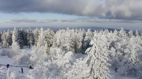Aerial view, flight over snowy trees from above in winter, Taunus, Hesse, Ger Stock Footage 101480613