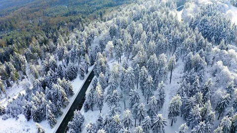 Aerial view, flight over snowy trees from above in winter, Taunus, Hesse, Ger Stock Footage 101480708