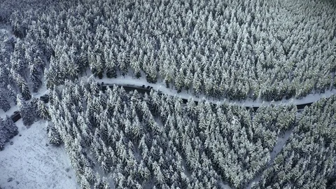 Aerial view, flight over snowy trees from above in winter, Taunus, Hesse, Ger Stock Footage 101480746