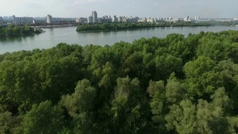 Aerial View Flight Over Trees and Water Video stock 70841926