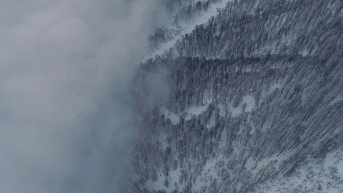 Aerial view flight over winter forest in clouds at mountains Stock Footage 103478250