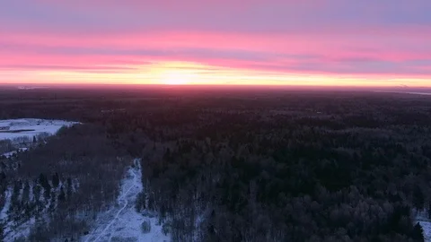 Aerial view flight over winter forest in twilight. Beautiful natural landscape Video stock 122688808