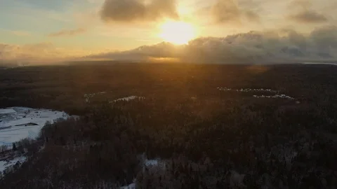 Aerial view flight over winter forest in golden dawn. Stock Footage 123577996