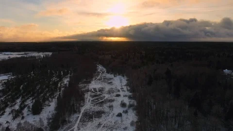 Aerial view flight over winter forest in golden dawn Video stock 123578045