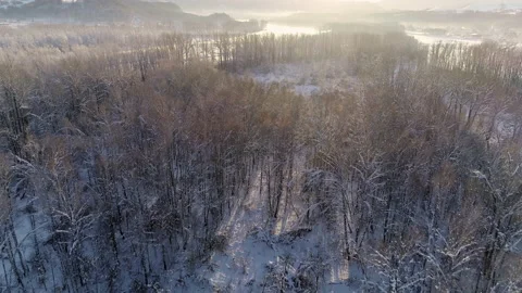Aerial view: Flight over the winter forest. Snow covered trees. Beautiful Video stock 136774920