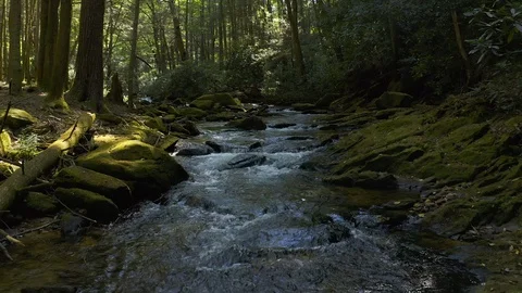 Aerial view of a flight upstream over a mountain waterway as it cascades over Stock Footage 116413354