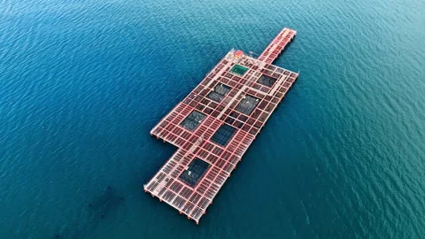 Aerial view of floating fish farm cages in deep blue sea, Bulgaria Stock Footage 336727415