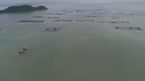 Aerial view of floating house fish seedlings kept in cage . Stock Footage 87260571
