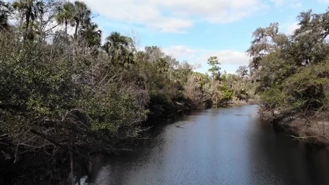 Aerial View: Floating Over The River Vídeos de archivo 101807343