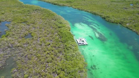 Aerial view of a floating platform in the vast mangroves near Montecristi in Vidéo 297083900