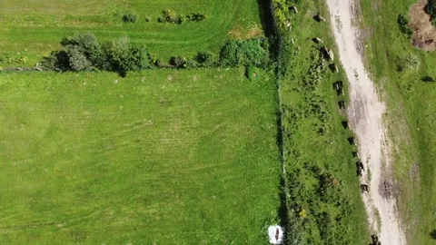 Aerial view of flock of sheep grazing on green meadow in Europe. Beautiful ru 스톡 동영상 280790980