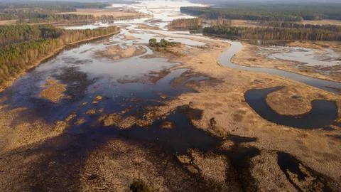 Aerial view of flood on floodplain. river view from above Foto stock