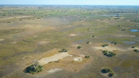 Aerial view of flood plain in the Okavango Delta showing small islands and an Vídeo Stock 80866437