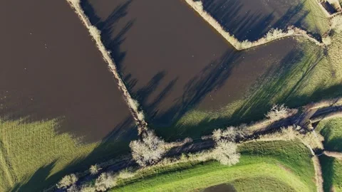 Aerial View of Flooded Agricultural Fields Video stock 294093983
