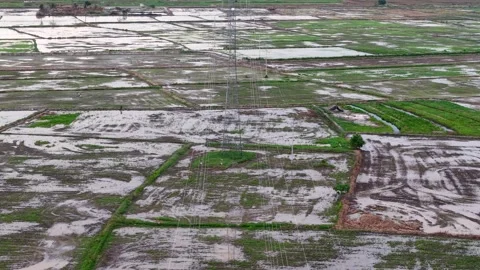 Aerial view of flooded agricultural fields with patches of green grass Video stock 339856882