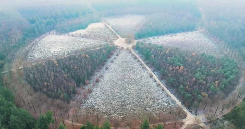 Aerial view of flooded bridge and walking path, along river IJssel, Netherlands Stock Footage 312812286