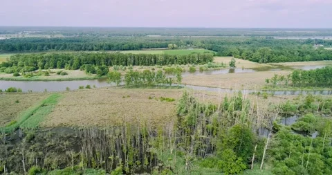 Aerial view of flooded climate buffer during high water, river Maas, Netherlands Stockbeeldmateriaal 185584591