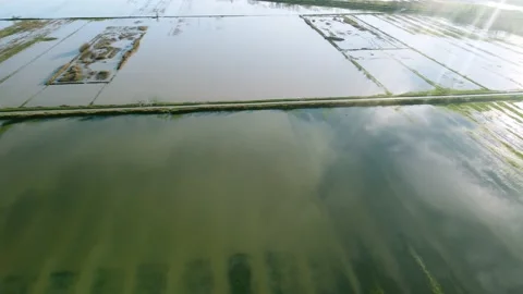 Aerial view of a flooded fields, backlight and flare Stock Footage 147880532