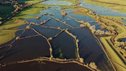 Aerial View of Flooded Fields with Hedgerows Video stock 294094223