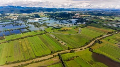 Aerial view of flooded fields. Stock Photos