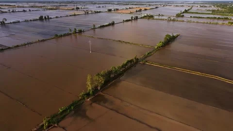 Aerial view of flooded fields with rich alluvial sediment Stock Footage 339998258