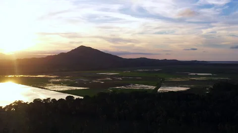 Aerial View of Flooded Rice Fields in the Evening Light in the Caribbean. Video stock 274831083