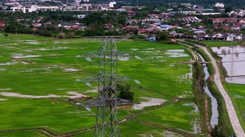 Aerial view of flooded rice fields Vídeo Stock 344815940