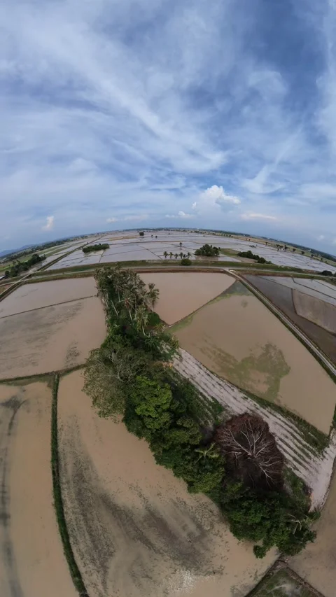 Aerial view of flooded rice fields under a bright blue sky Stock Footage 345408687