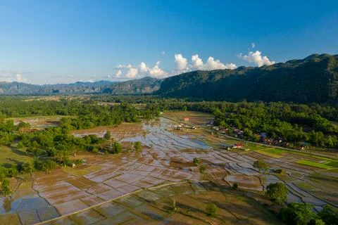 Aerial view of flooded rice fields in rural Laos Stock Photos